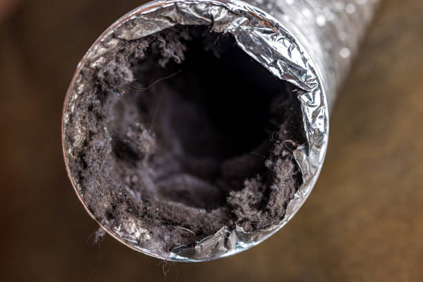Best Air Duct Cleaning Near Me  in Dade City, FL